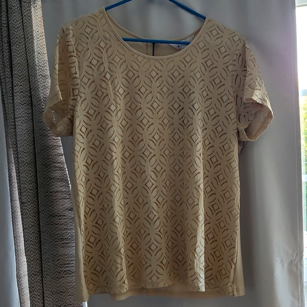 Market & Spruce Lace Detailed Top